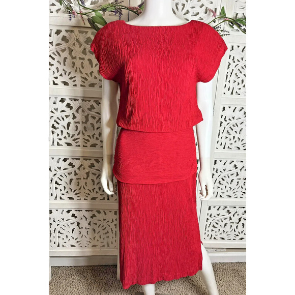 Vintage Roberta California Women’s Red Plisse Formal Dress Size 10 - Picture 1 of 11